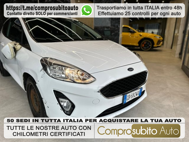 FORD Fiesta White metallized