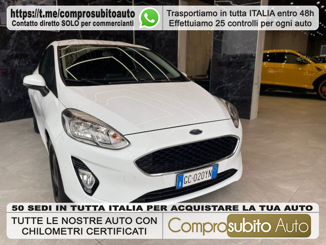 FORD Fiesta White metallized