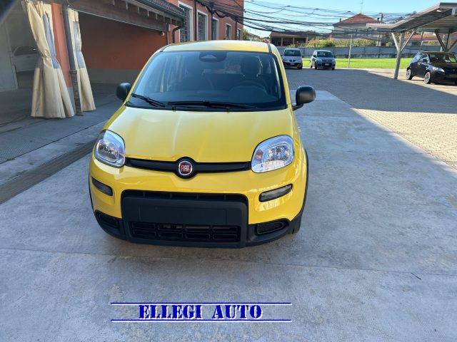 FIAT Panda Giallo pastello