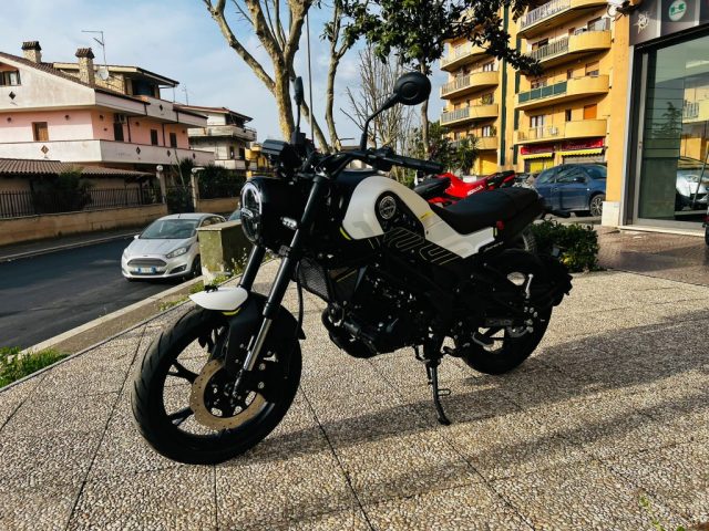 BENELLI Leoncino Antracite pastello