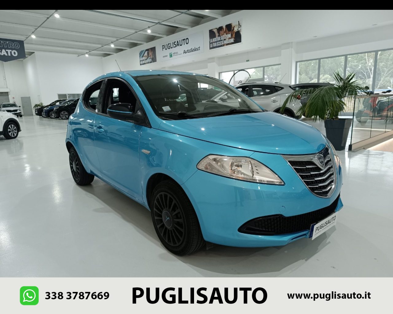 LANCIA Ypsilon 1.2 69 CV 5 porte Elefantino - 1