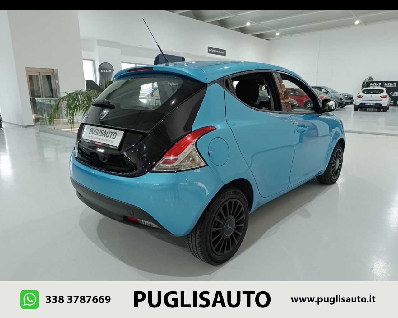 LANCIA Ypsilon 1.2 69 CV 5 porte Elefantino - 4