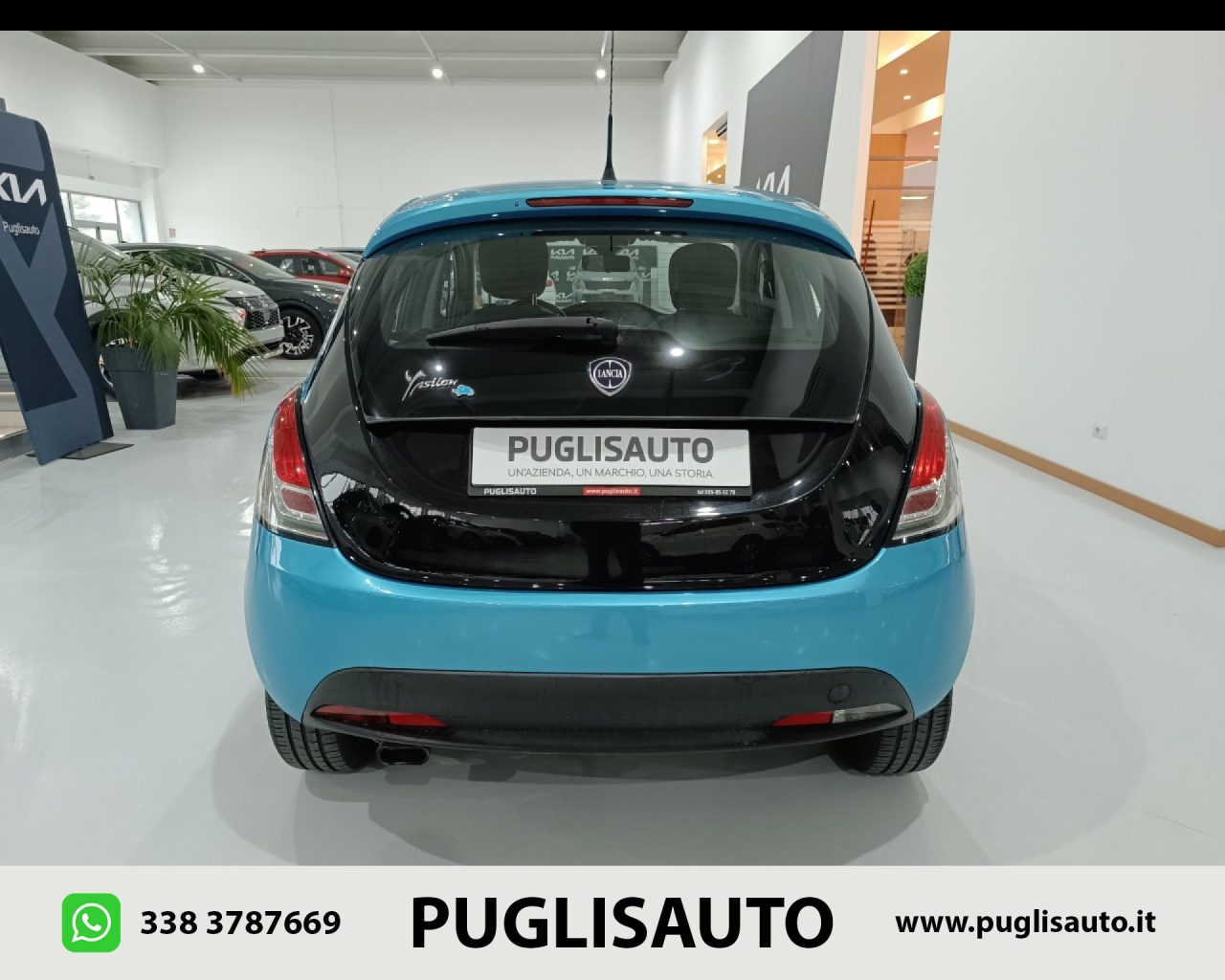 LANCIA Ypsilon 1.2 69 CV 5 porte Elefantino - 5