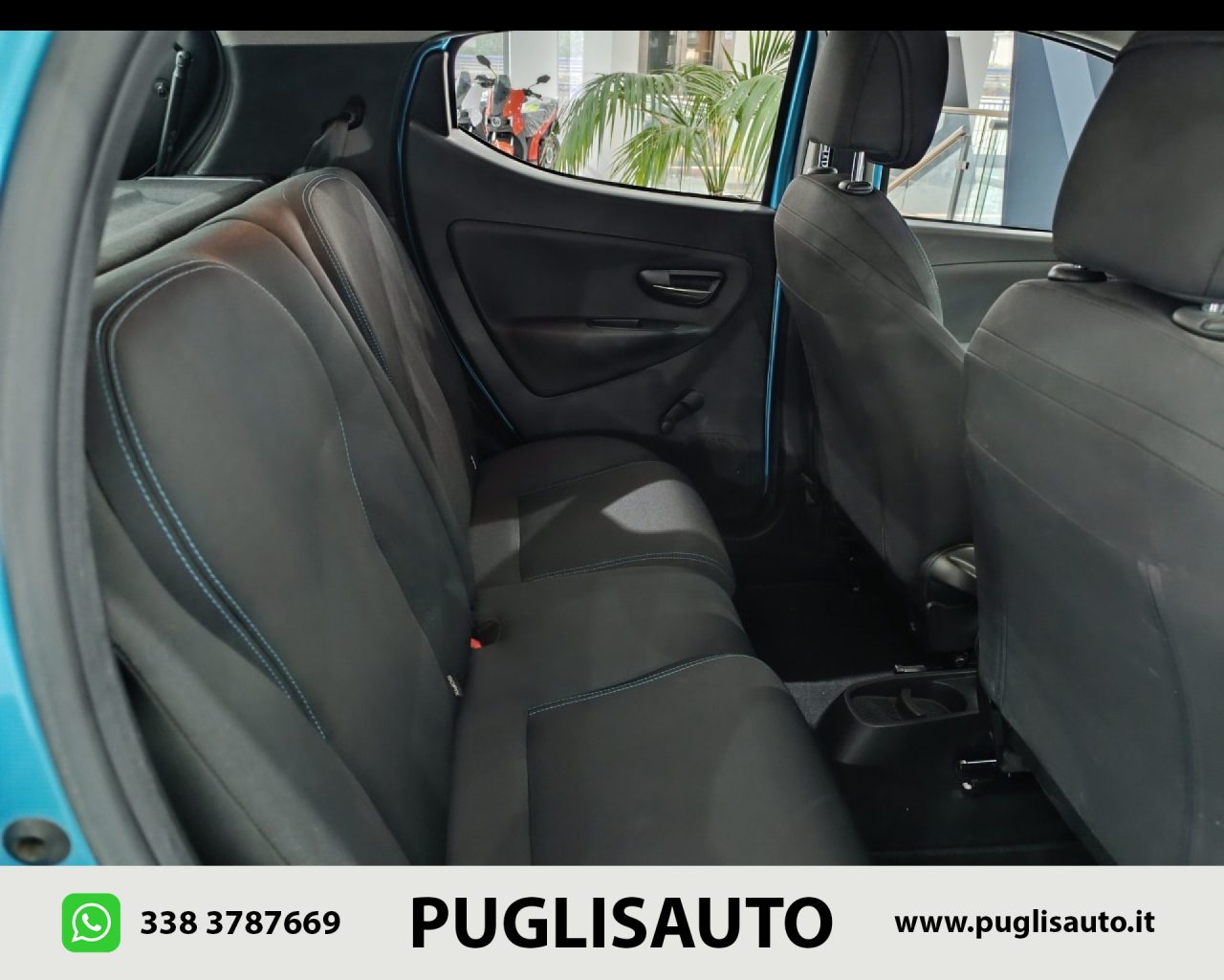 LANCIA Ypsilon 1.2 69 CV 5 porte Elefantino - 11
