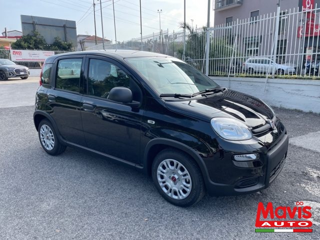 FIAT Panda Nero pastello