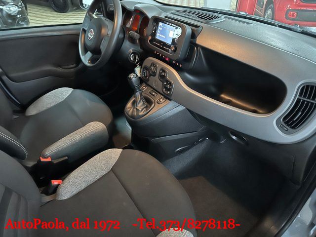 FIAT Panda Grigio pastello