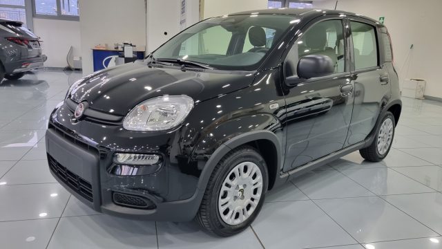 FIAT Panda Nero pastello