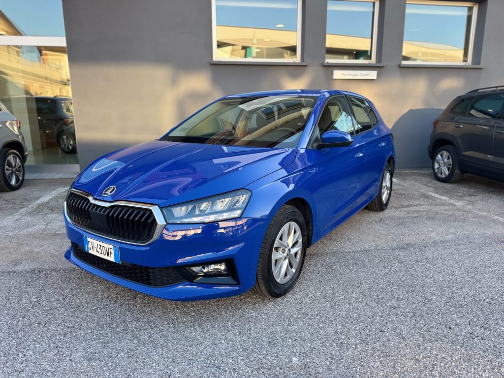 SKODA Fabia 1.0 TSI EVO 80cv AMBITION - 13