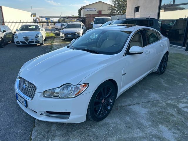 JAGUAR XF Bianco metallizzato