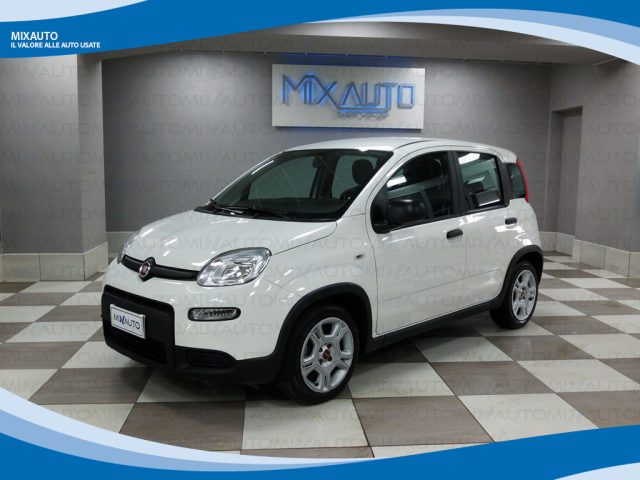 FIAT Panda Bianco pastello