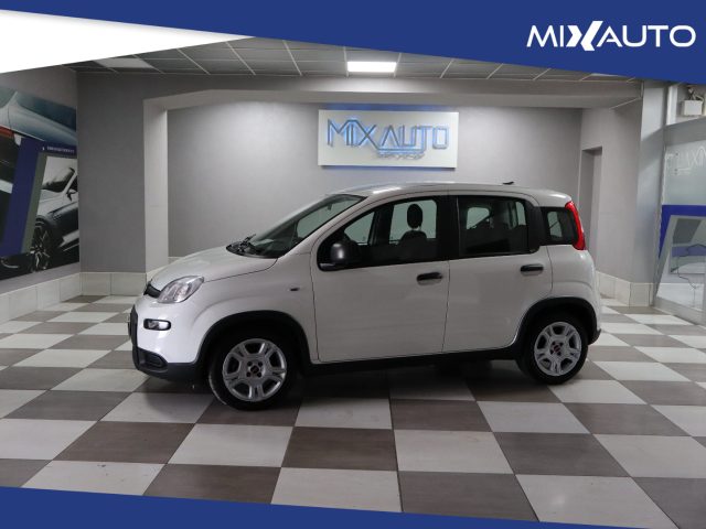 FIAT Panda Bianco pastello