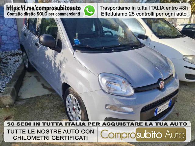 FIAT Panda Argent Pastel