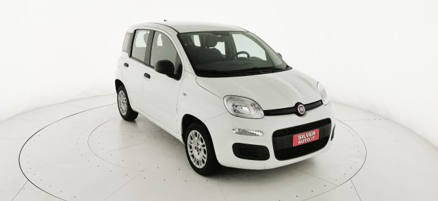 FIAT Panda Bianco metallizzato