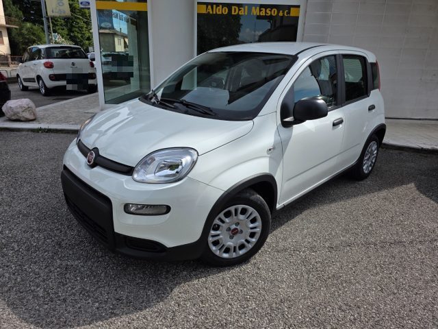 FIAT Panda Bianco Gelato pastello