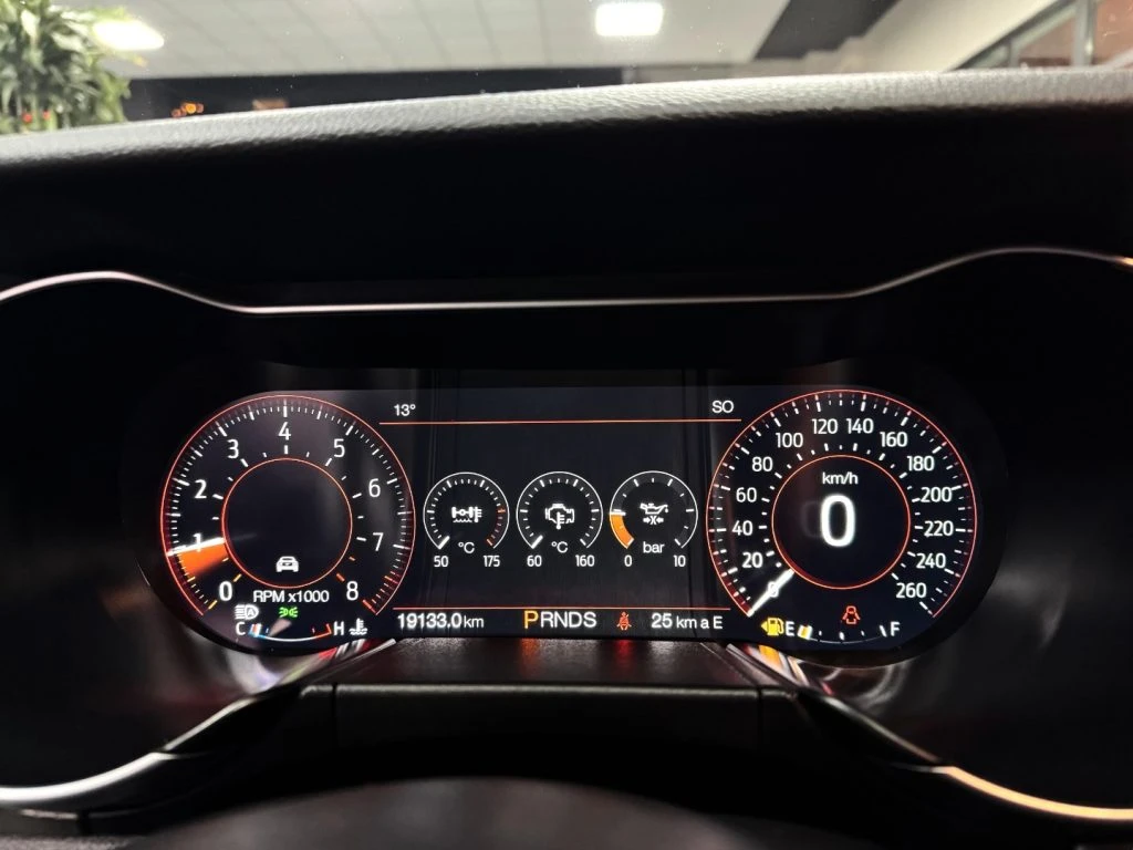 FORD Mustang Fastback 5.0 V8 aut. GT - 12