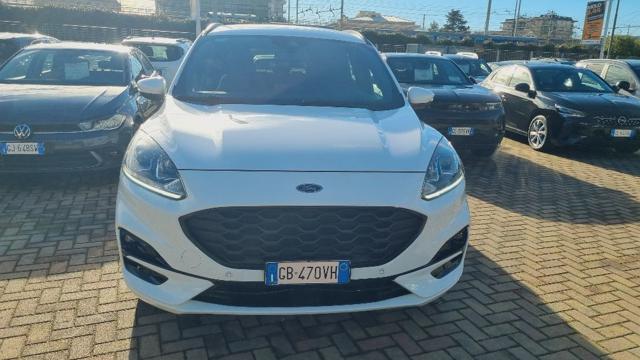 FORD Kuga Bianco pastello