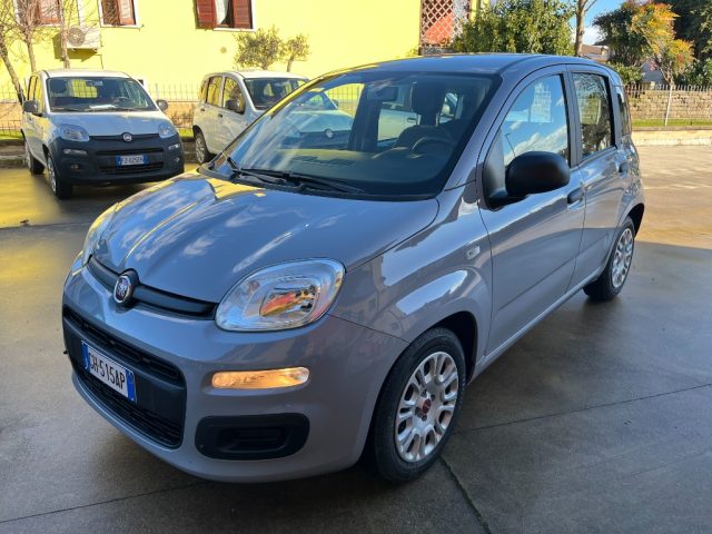 FIAT Panda Grigio pastello