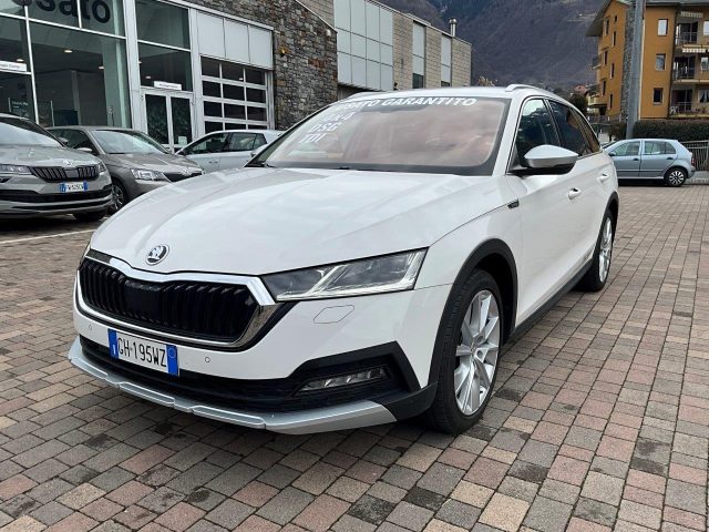 SKODA Octavia Bianco pastello