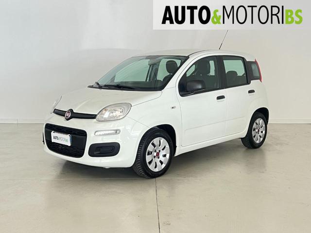 FIAT Panda Bianco pastello