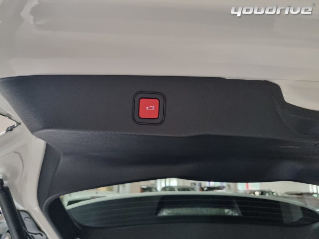 JEEP Avenger / 1.2 Turbo Summit+Navi Pack+Winter Pack KM0 - 20