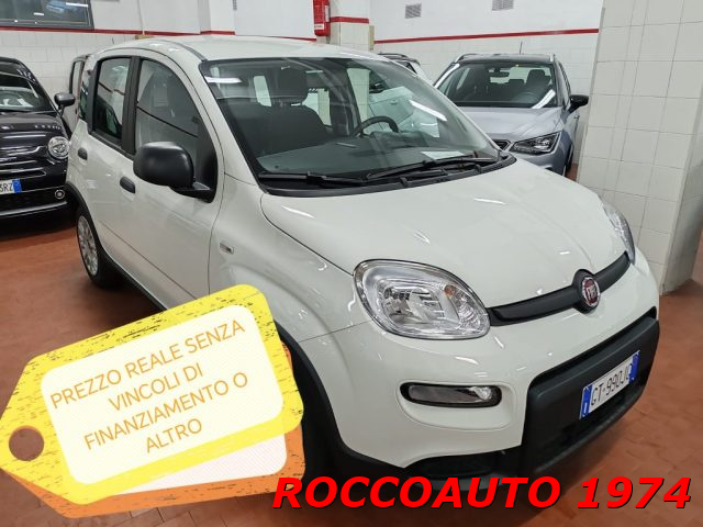 FIAT Panda Bianco pastello