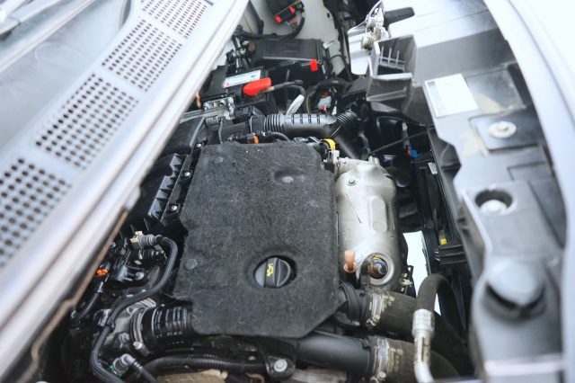 PEUGEOT Traveller 41