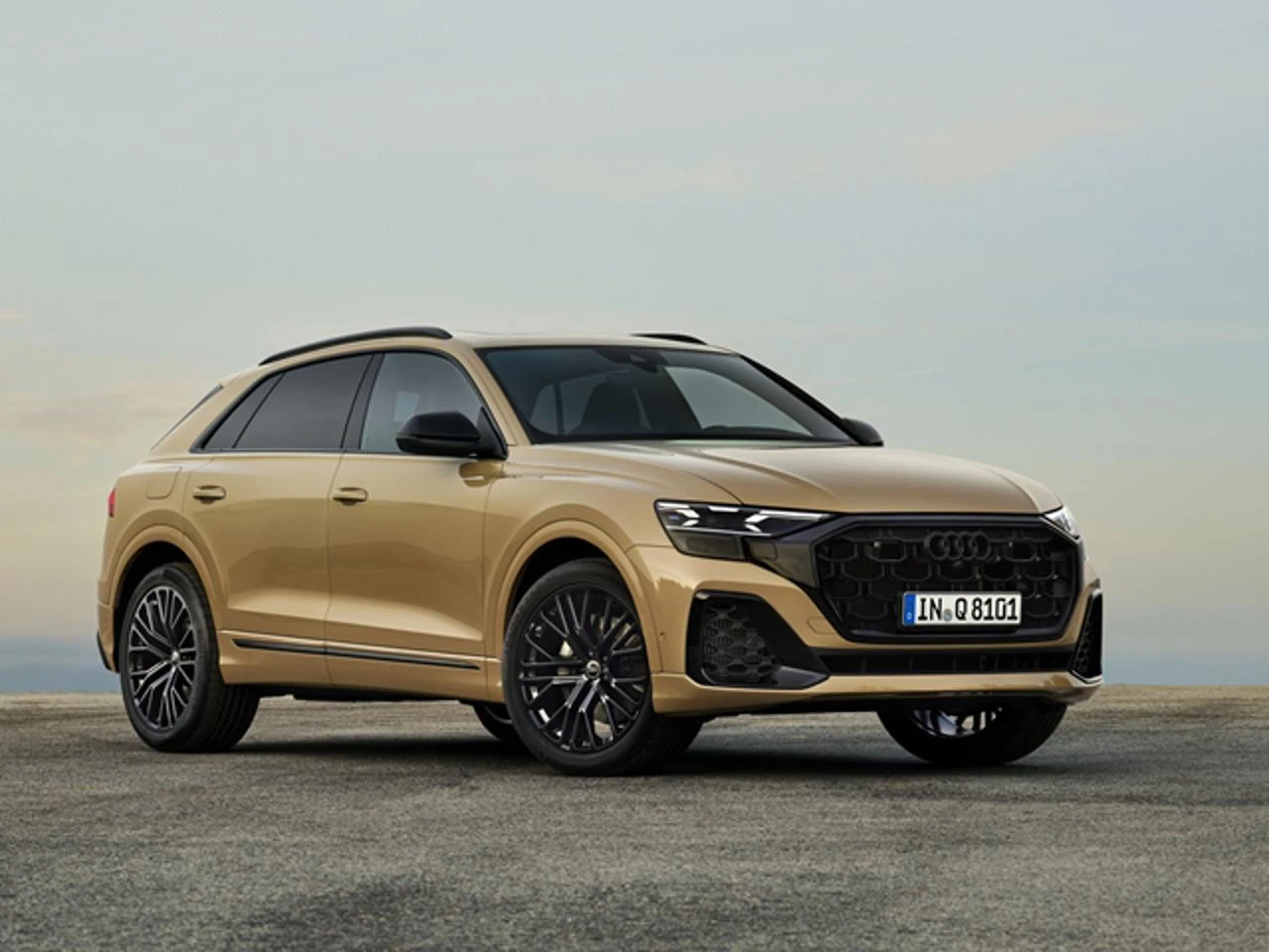 AUDI Q8 SUV 45 TDI quattro tiptronic S line edition - 1