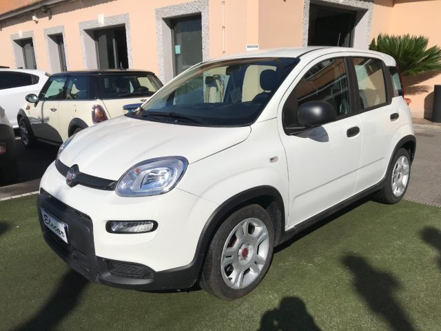 FIAT Panda Bianco pastello