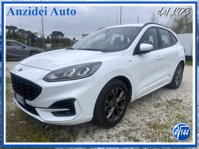 FORD Kuga Bianco Avorio pastello