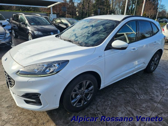 FORD Kuga Bianco pastello