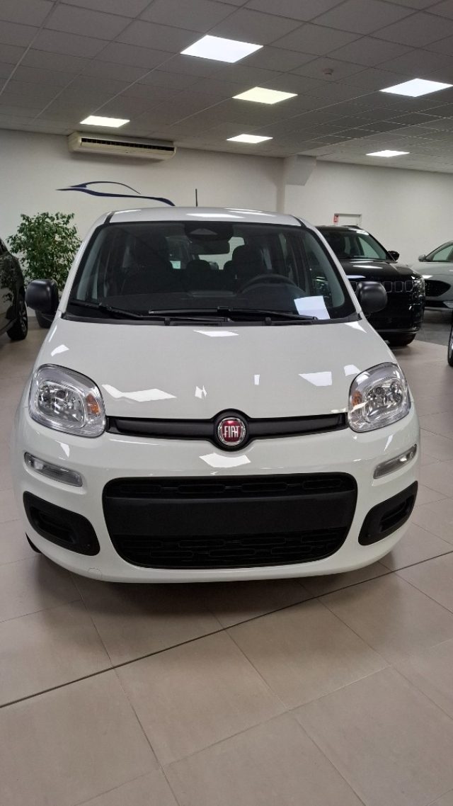 FIAT Panda Bianco pastello