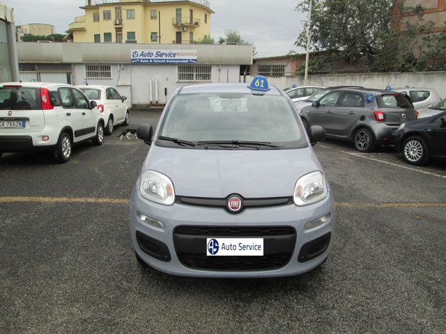 FIAT Panda Grigio pastello