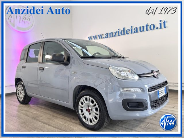 FIAT Panda Grigio pastello