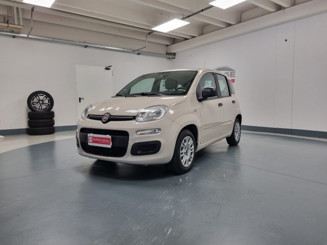 FIAT Panda Beige pastello