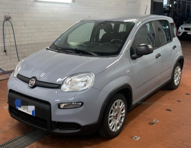 FIAT Panda Grigio pastello