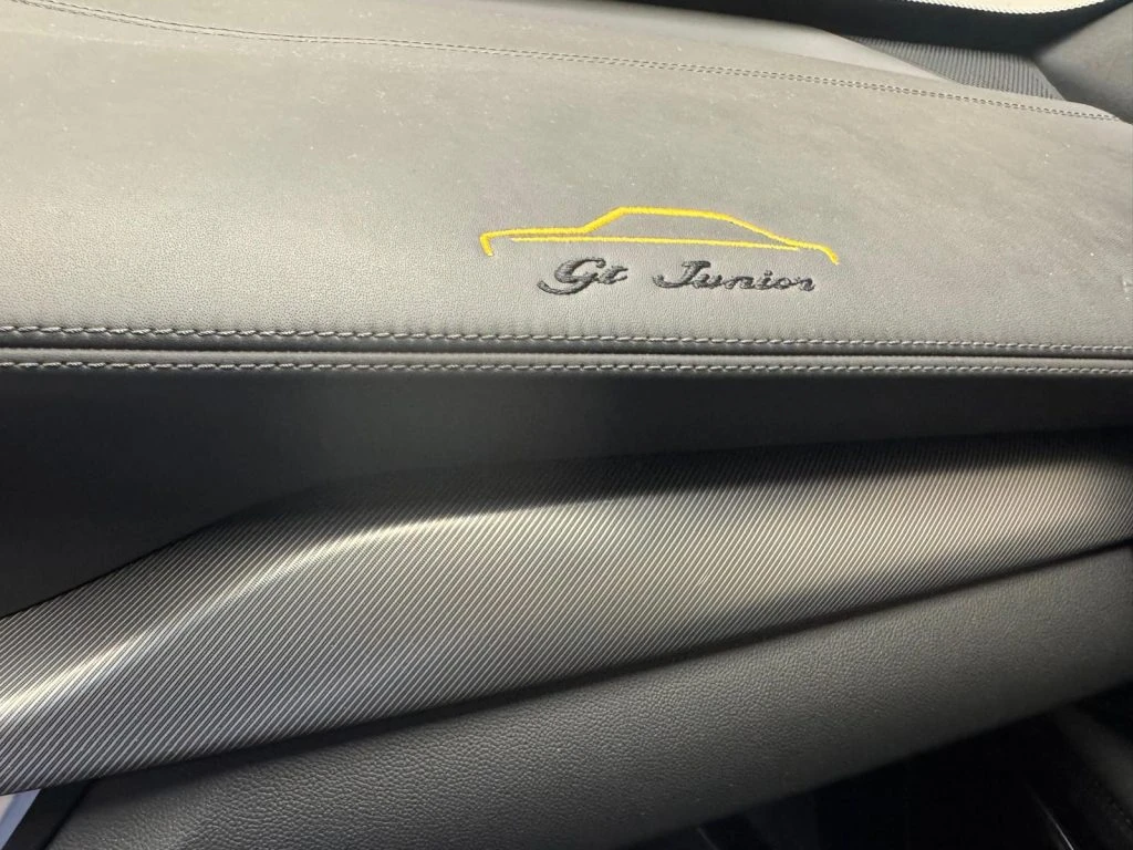 ALFA ROMEO Stelvio 2.2 t Veloce Q4 210cv auto - Grid Foto 7