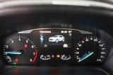 FORD Puma 49 thumb