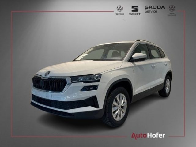 SKODA Karoq Weiß pastell