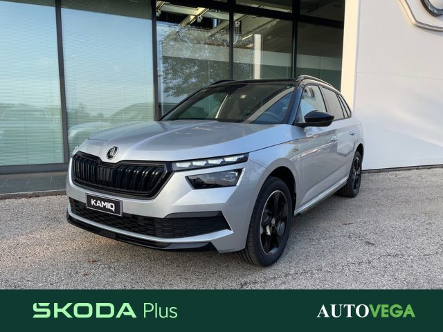SKODA Kamiq Grigio pastello