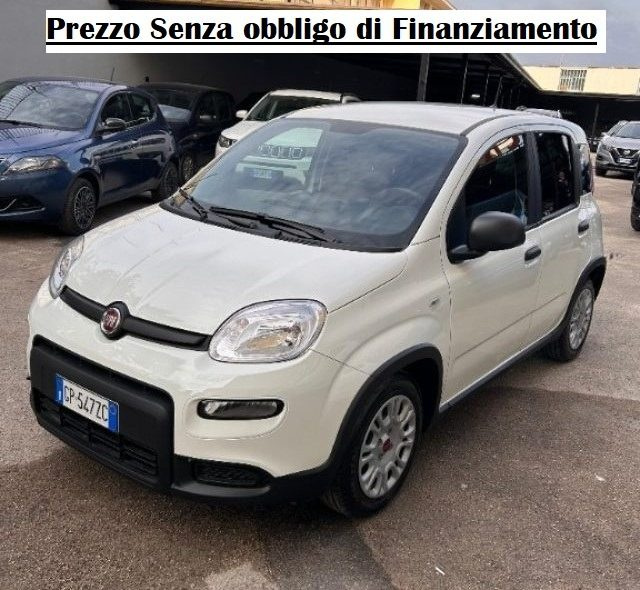 FIAT Panda Bianco pastello