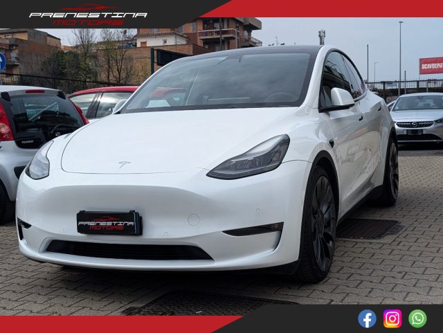 TESLA Model Y Bianco metallizzato