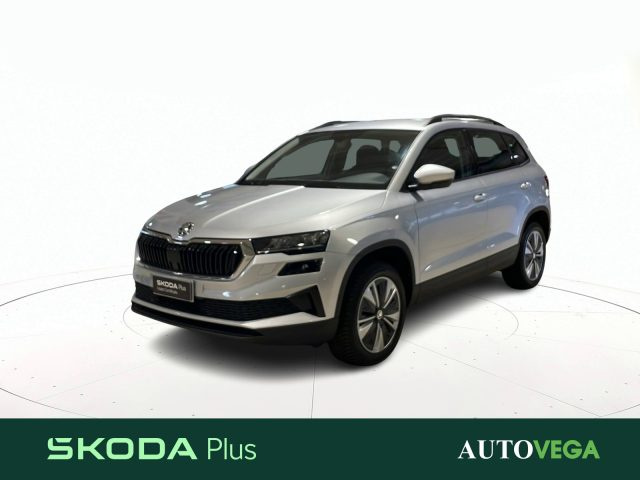 SKODA Karoq Grigio pastello