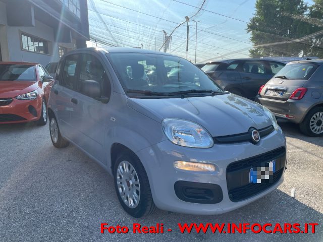 FIAT Panda Grigio pastello