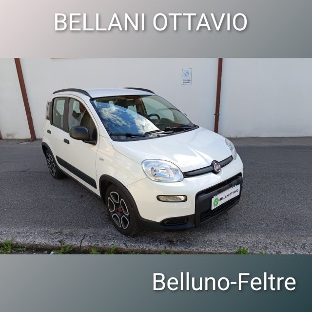 FIAT Panda Bianco pastello