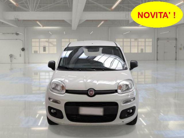 FIAT Panda Bianco pastello