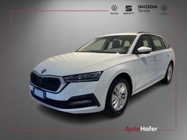SKODA Octavia Weiß metallisiert