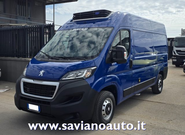 PEUGEOT  Blu pastello
