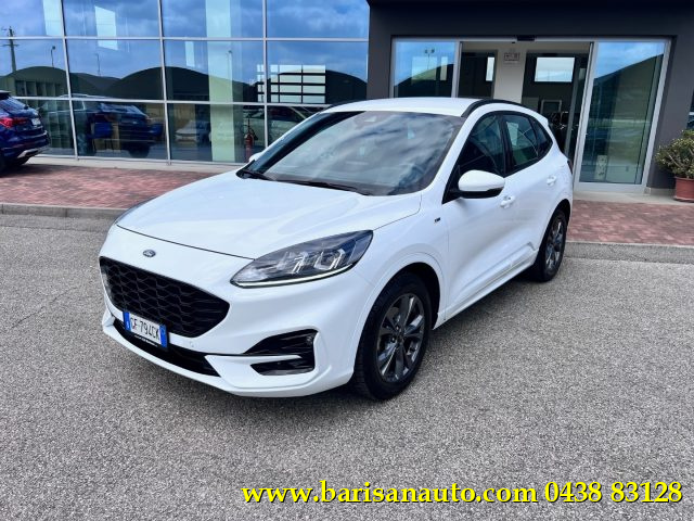 FORD Kuga Bianco pastello