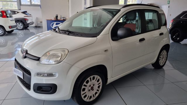 FIAT Panda Bianco pastello