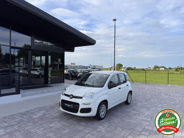 FIAT Panda Bianco pastello